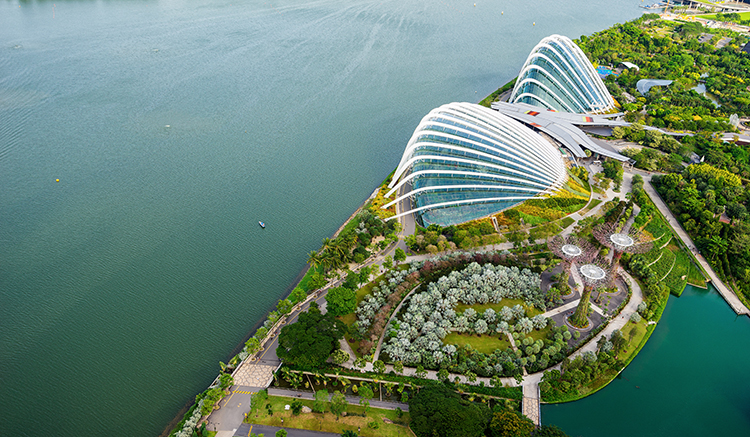 2.-Gardens-by-the-bay-การ์เด้นส์-บาย-เดอะ-เบย์-ประเทศสิงคโปร์-1