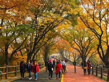 2. สวนสาธารณะนัมซาน (Namsan Park)-2