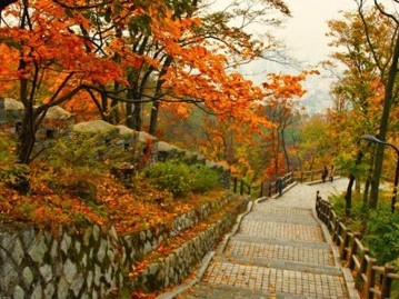 2. สวนสาธารณะนัมซาน (Namsan Park)
