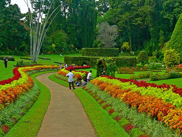 2.2.Royal Peradeniya Botanical Garden-2