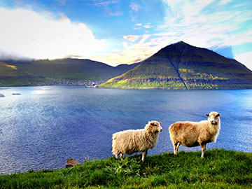 2.FaroeIslands-4