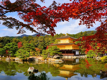2.Kinkakuji-2