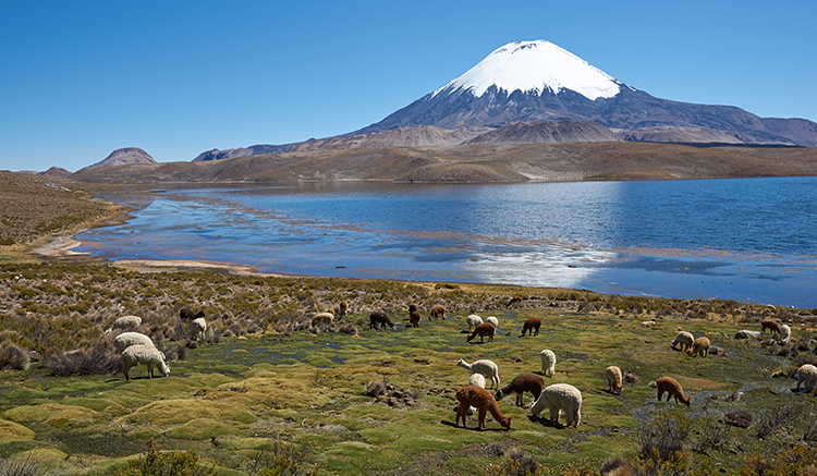 2.Lauca-National-Park-1