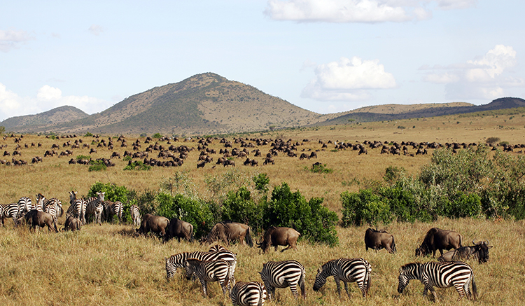 2.Maasai-Mara-National-Reserve-1