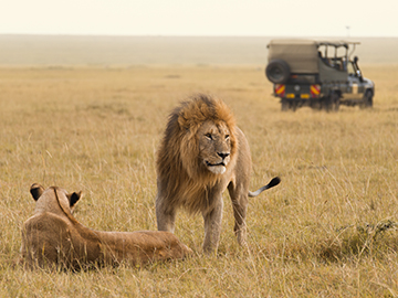2.Maasai-Mara-National-Reserve-2