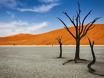 2.Namib-Desert-3