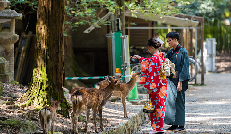 2.Nara-Park-1