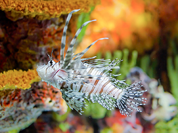 2.Shanghai-Ocean-Aquarium-2