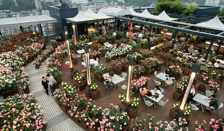 2.Sky Rose Garden-1