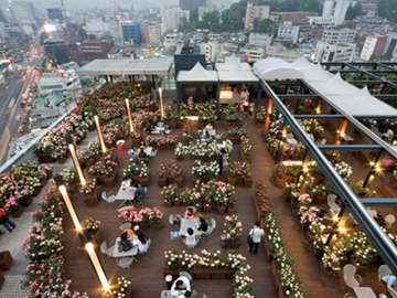 2.Sky Rose Garden-2