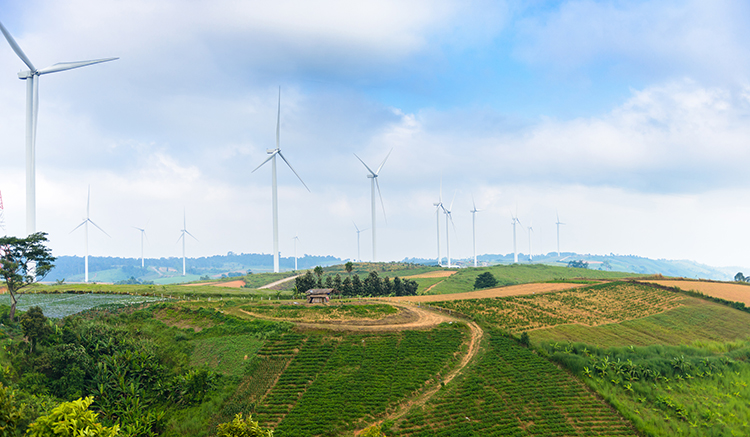 2.Windmill-1