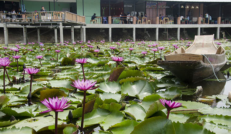 2.ตลาดน้ำทุ่งบัวแดง-จ.นครปฐม-1.jpg