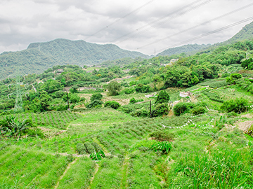 2.ภูเขาเมาคง-Maokong-Mountain-2