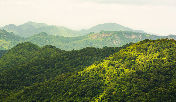 2.อุทยานแห่งชาติเขาใหญ่-1
