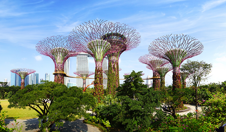 3.Gardens-by-the-Bay-3