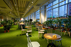 3.Golden Tulip Haeundae Hotel & Suites-03