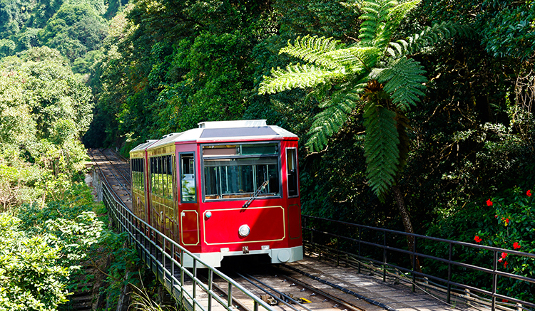3.MRT-Island-Line-3