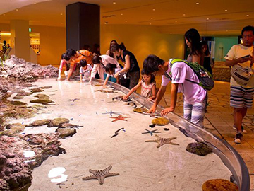 3.Okinawa Churaumi Aquarium-2