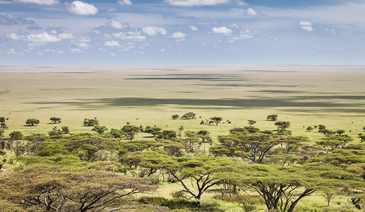 3.Serengeti-National-Park-1