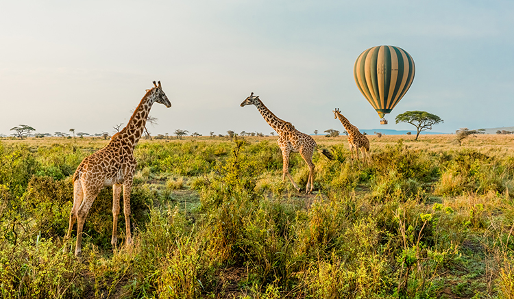 3.Tanzania-1
