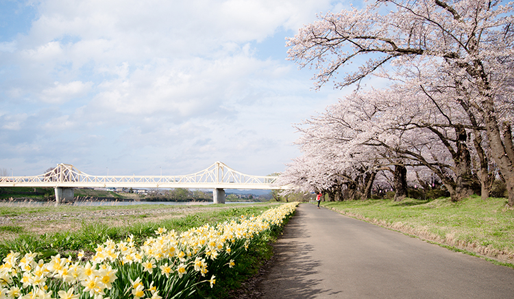 3.Tohoku-1