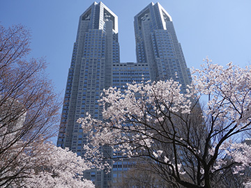 3.Tokyo-Metropolitan-Government-Building-3.jpg