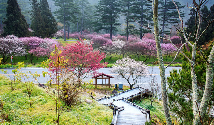 3.Wuling-Farm-1.jpg
