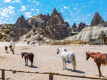 3.คัปปาโดเกีย-Cappadocia-2.jpg