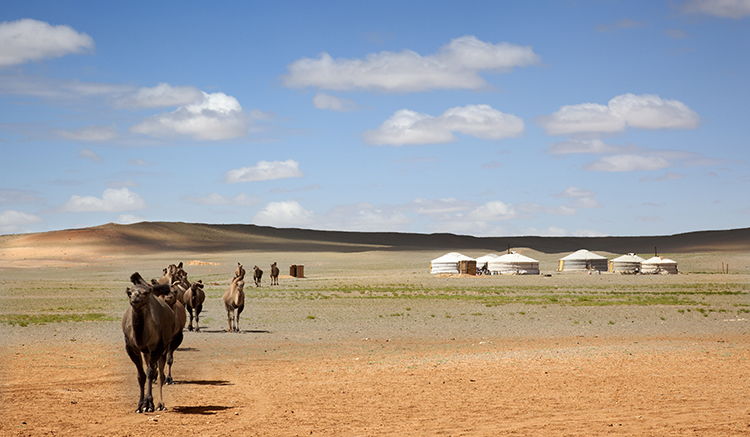 3.ทะเลทรายโกบี-Gobi-Desert-1