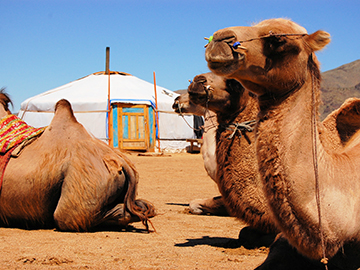 3.ทะเลทรายโกบี-Gobi-Desert-2