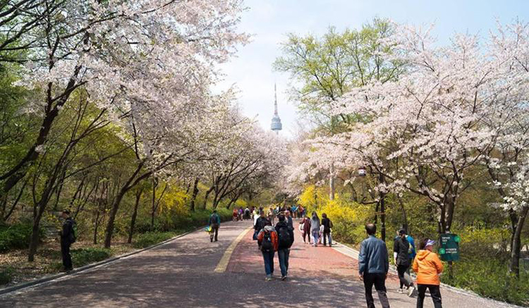 4-Namsan Mountain-2