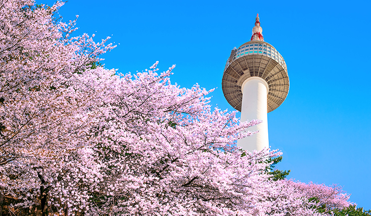 4-Namsan-Mountain