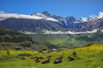 4-คาซเบกิ-Kazbegi-หรือ-สเตพันสมินดาStepantsminda-2