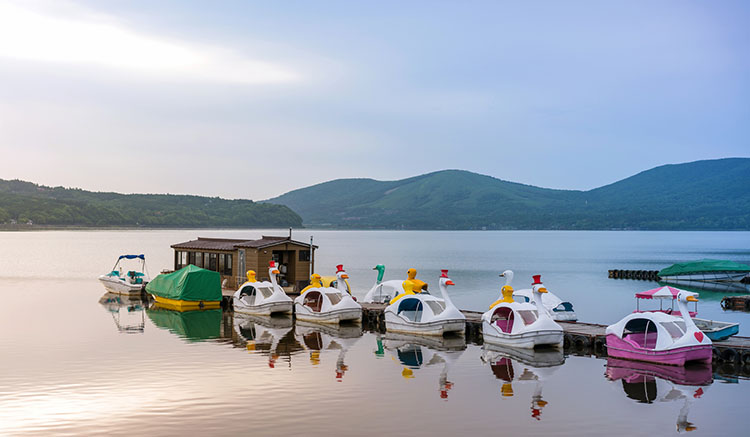 4.-ถีบเรือเป็ดชมฟูจิที่ทะเลสาบอาชิ-1.jpg