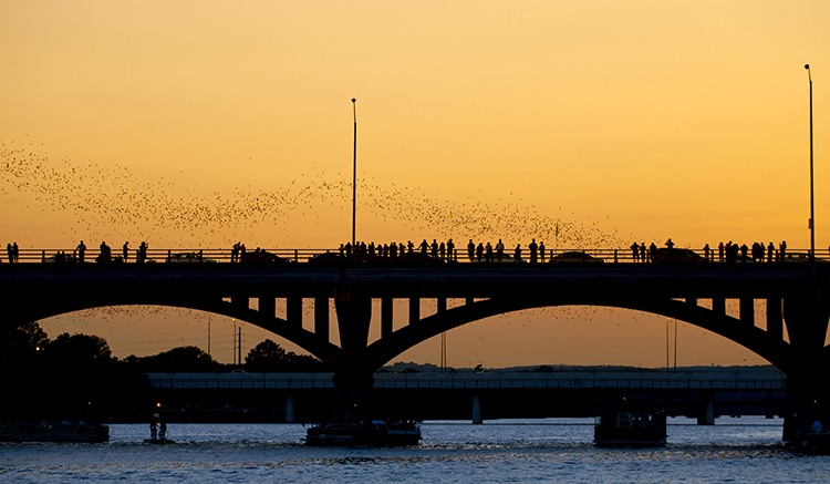 4.Congress-Avenue-Bridge-1.jpg