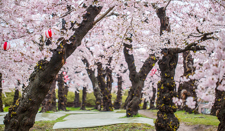 4.Hokkaido-3