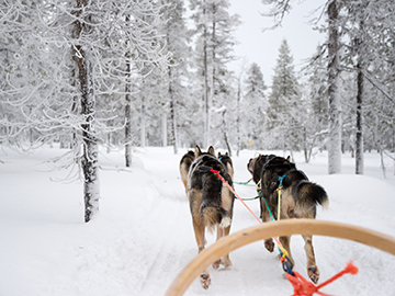 4.Lapland-2