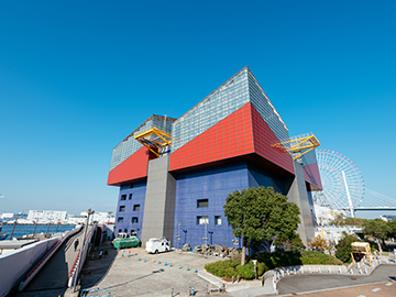 4.Osaka-Aquarium-Kaiyukan-3