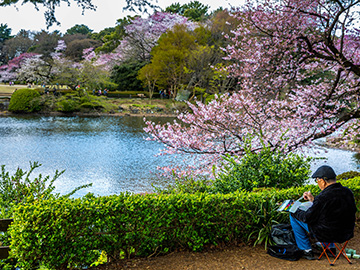 4.Shinjuku-Gyoen-3.jpg