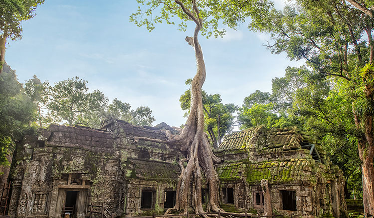 4.TaProhm-1