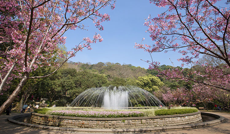 4.Yangmingshan-National-Park.jpg