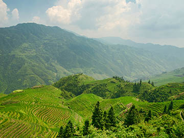 4.นาขั้นบันไดหลงเซิ่น-Longsheng-2.jpg