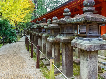 4.ศาลเจ้าคาสุงะไทฉะ-Kasuga-Taisha-Shrine-2.jpg