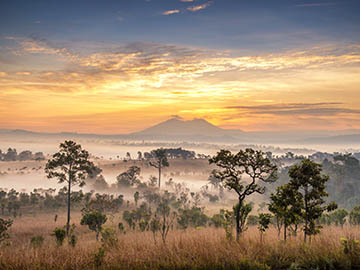 4.อุทยานแห่งชาติทุ่งแสลงหลวง-2.jpg