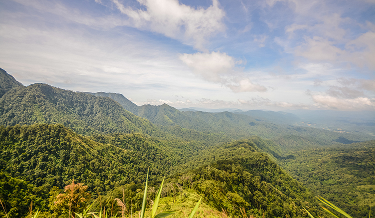 4.อุทยานแห่งชาติภูสอยดาว-1