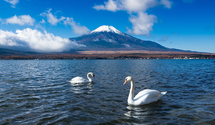 5-Lake-Yamanaka-1.jpg