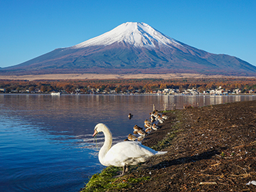 5-Lake-Yamanaka-3.jpg