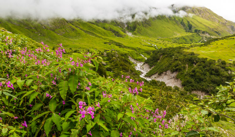 Hemkund and Valley of Flowers, Garhwal