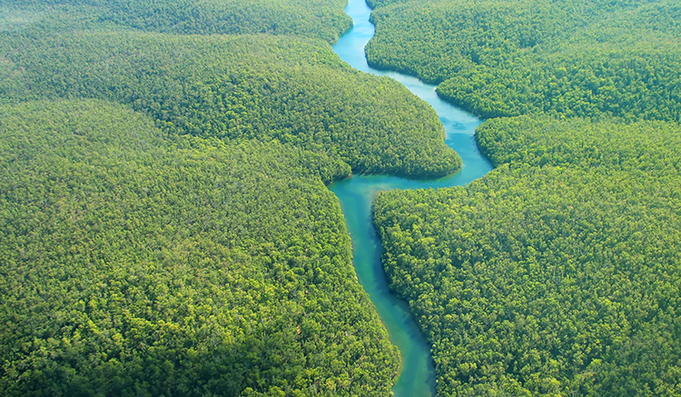 5.Amazon-Rainforest-1