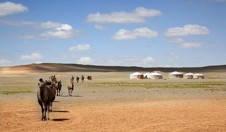 5.GobiDesert-1